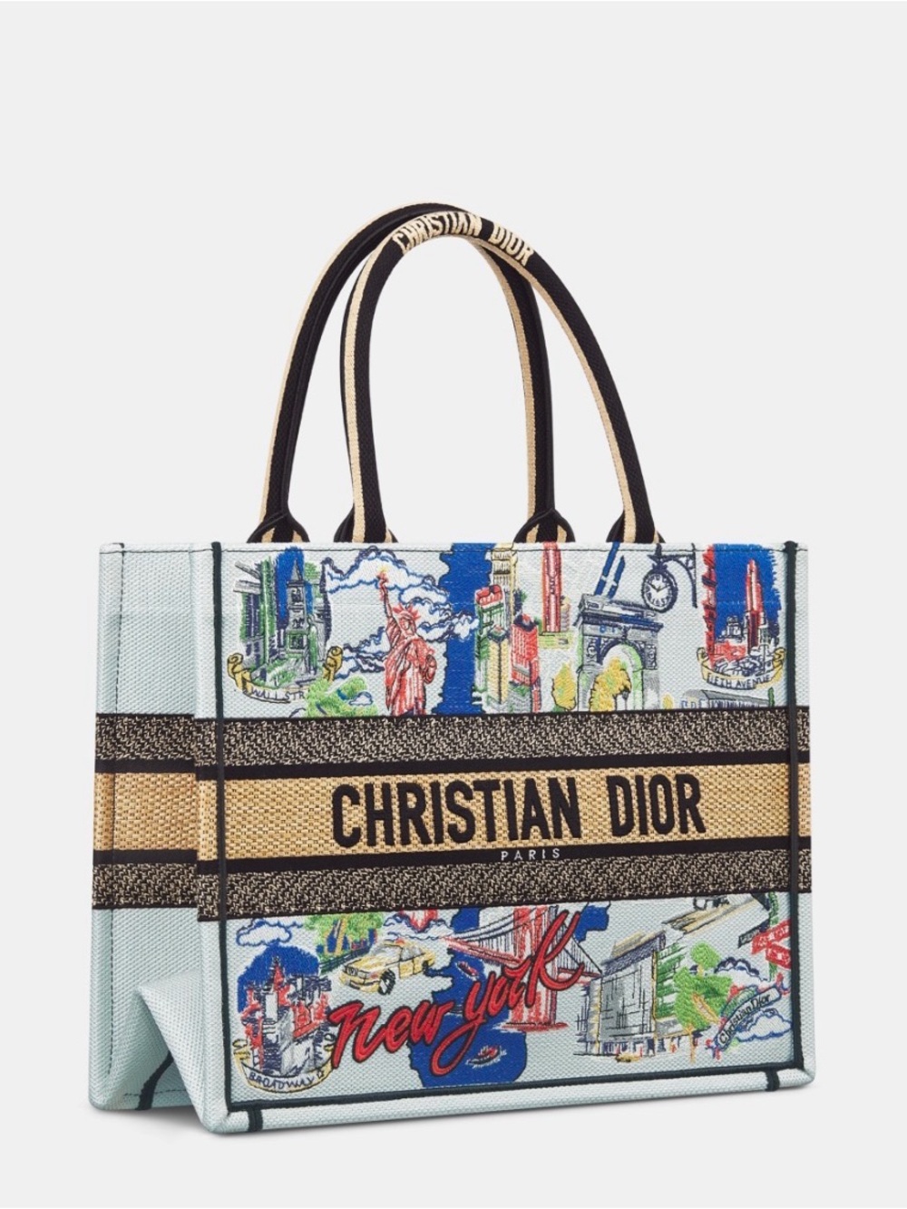 DIOR SOUVENIR MEDIUM DIOR BOOK TOTE